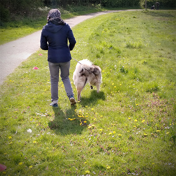 Therapiehund Céilí mit einer jungen Klientin im Autismus Therapie Zentrum gGmbH in Paderborn